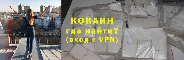 ПСИЛОЦИБИНОВЫЕ ГРИБЫ Гусев