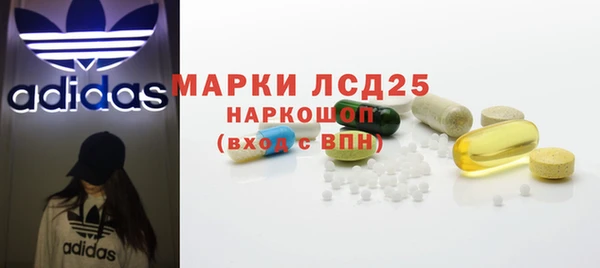 спайс Гусь-Хрустальный